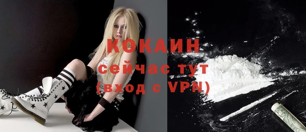 соль ск Переславль-Залесский