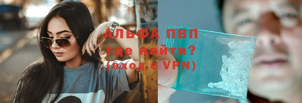 jwh Пересвет