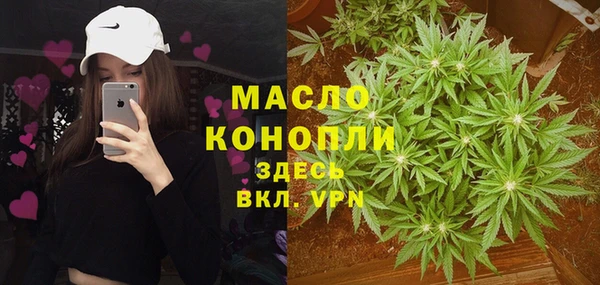 jwh Пересвет