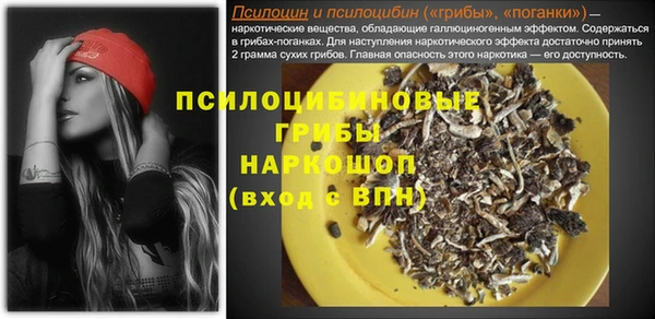 jwh Пересвет