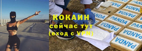 jwh Пересвет