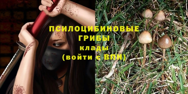 соль ск Переславль-Залесский